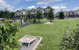 Snowshoe Black Bear Crossing #8 - Snowshoe, West Virginia