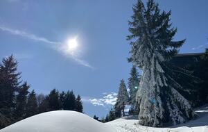 Black Bear Crossing #21 | Slopeside with Great Ski Trail Views - Snowshoe, West Virginia