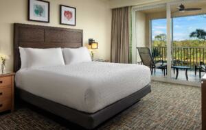 Coconut Cove, Bonita Springs - One-Bedroom Villa - Bonita Springs, Florida