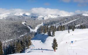 The Residences at Main Street Station, Breckenridge - Two-Bedroom - Breckenridge, Colorado