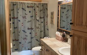 Upstairs fish bathroom