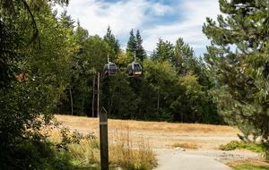 Woodrun Lodge 514 | Ski-In Ski-Out Condo w/ Pool, Hot Tub - Whistler, Canada