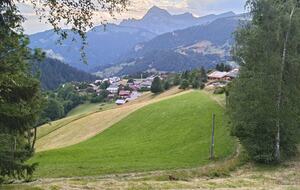 Chalet Le Paradis Blanc - Notre-Dame-de-Bellecombe, France