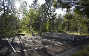 Aspen Meadow Lodge | Private Pickleball Court, Bonus Room, on 8.5 Acres - Sisters, Oregon