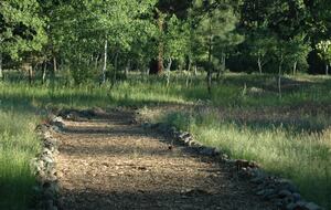 Aspen Meadow Lodge | Private Pickleball Court, Bonus Room, on 8.5 Acres - Sisters, Oregon