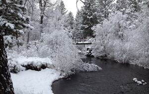 Aspen Meadow Lodge | Private Pickleball Court, Bonus Room, on 8.5 Acres - Sisters, Oregon