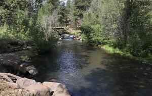 Aspen Meadow Lodge | Private Pickleball Court, Bonus Room, on 8.5 Acres - Sisters, Oregon