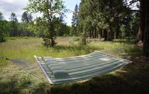 Aspen Meadow Lodge | Private Pickleball Court, Bonus Room, on 8.5 Acres - Sisters, Oregon