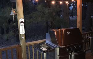 Aspen Meadow Lodge | Private Pickleball Court, Bonus Room, on 8.5 Acres - Sisters, Oregon