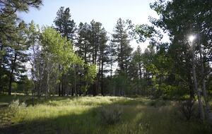 Aspen Meadow Lodge | Private Pickleball Court, Bonus Room, on 8.5 Acres - Sisters, Oregon