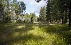 Aspen Meadow Lodge | Private Pickleball Court, Bonus Room, on 8.5 Acres - Sisters, Oregon