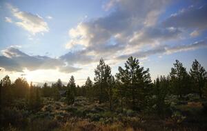 Aspen Meadow Lodge | Private Pickleball Court, Bonus Room, on 8.5 Acres - Sisters, Oregon