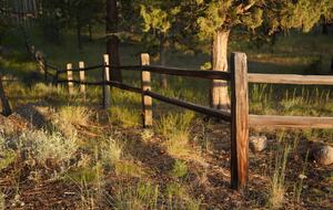 Aspen Meadow Lodge | Private Pickleball Court, Bonus Room, on 8.5 Acres - Sisters, Oregon