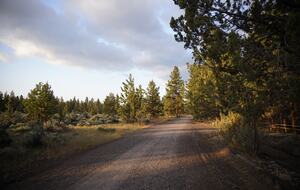 Aspen Meadow Lodge | Private Pickleball Court, Bonus Room, on 8.5 Acres - Sisters, Oregon