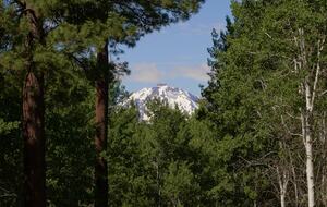 Aspen Meadow Lodge | Private Pickleball Court, Bonus Room, on 8.5 Acres - Sisters, Oregon