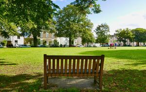 The Buttlands - the green outside the apartment