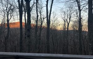 An afternoon spring view from the back deck