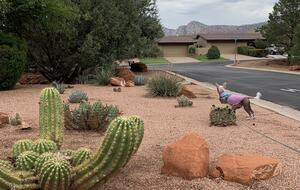 Beautiful Sedona Retreat - Sedona, Arizona