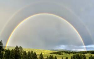 Alpine Escape on 80 Acres! - Angel Fire, New Mexico