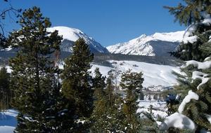 The Lodge at Carolina in the Pines - Dillon, Colorado