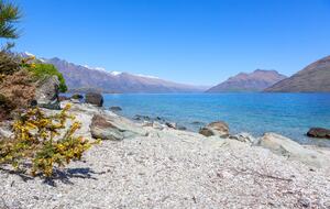 Cedar Drive | Lake Front - Queenstown, New Zealand