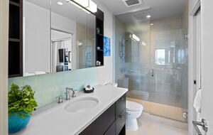 Luxury Condo with Stunning Vistas of the harbour, ocean and mountains - Victoria, Canada