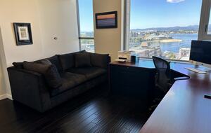 Luxury Condo with Stunning Vistas of the harbour, ocean and mountains - Victoria, Canada