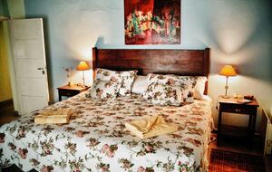 Spacious Farm Villa Nestled in Vineyards - San Rafael, Argentina