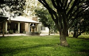 Spacious Farm Villa Nestled in Vineyards - San Rafael, Argentina
