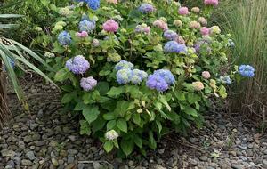 South End Beach Retreat | 1st floor duplex w/incredible views, short walk to beach - Ocean City, New Jersey