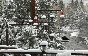 Telluride’s Riverside Canyon Villa - Placerville, United States