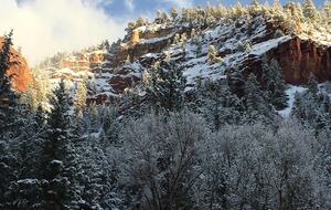 Telluride’s Riverside Canyon Villa - Placerville, United States