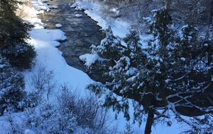 Telluride’s Riverside Canyon Villa - Placerville, United States