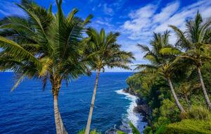 Luxury Oceanfront Balinese Oasis - Nīnole, Hawaii