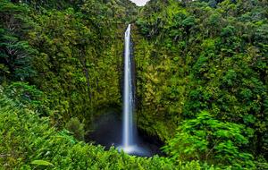 Luxury Oceanfront Balinese Oasis - Nīnole, Hawaii