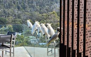 Villa Horizon - Separation Creek, Australia
