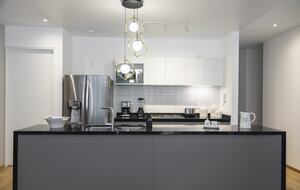 Luxury PentGarden in La Condesa! - Mexico City, Mexico