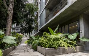 Luxury PentGarden in La Condesa! - Mexico City, Mexico