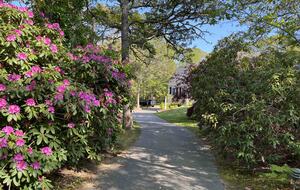 Harwich Port Family Beach House - Harwich, Massachusetts