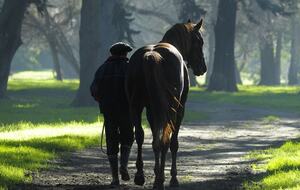 Santa Sylvina Estancia | Unforgettable Argentinian Estate | 250+ Acres | Beach and Golf Club Access! - Chapadmadal, Mar de Plata, Argentina