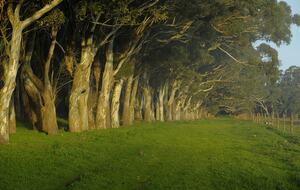 Santa Sylvina Estancia | Unforgettable Argentinian Estate | 250+ Acres | Beach and Golf Club Access! - Chapadmadal, Mar de Plata, Argentina