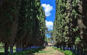 Santa Sylvina Estancia | Unforgettable Argentinian Estate | 250+ Acres | Beach and Golf Club Access! - Chapadmadal, Mar de Plata, Argentina