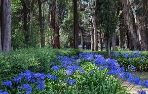Santa Sylvina Estancia | Unforgettable Argentinian Estate | 250+ Acres | Beach and Golf Club Access! - Chapadmadal, Mar de Plata, Argentina