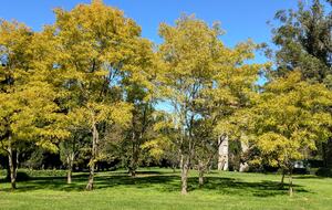Santa Sylvina Estancia | Unforgettable Argentinian Estate | 250+ Acres | Beach and Golf Club Access! - Chapadmadal, Mar de Plata, Argentina