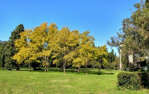Santa Sylvina Estancia | Unforgettable Argentinian Estate | 250+ Acres | Beach and Golf Club Access! - Chapadmadal, Mar de Plata, Argentina