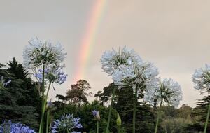 Santa Sylvina Estancia | Unforgettable Argentinian Estate | 250+ Acres | Beach and Golf Club Access! - Chapadmadal, Mar de Plata, Argentina