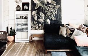 Deluxe Beach Cottages in Stinson Beach - Stinson Beach, California