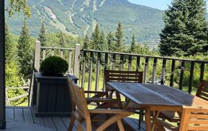 View of the Mountain