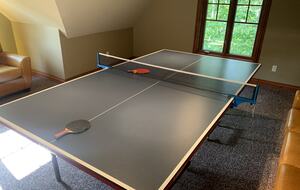 Playroom (ping pong)