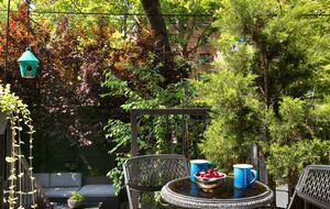 Park-side Single Family Townhouse | With parking! - Brooklyn, New York